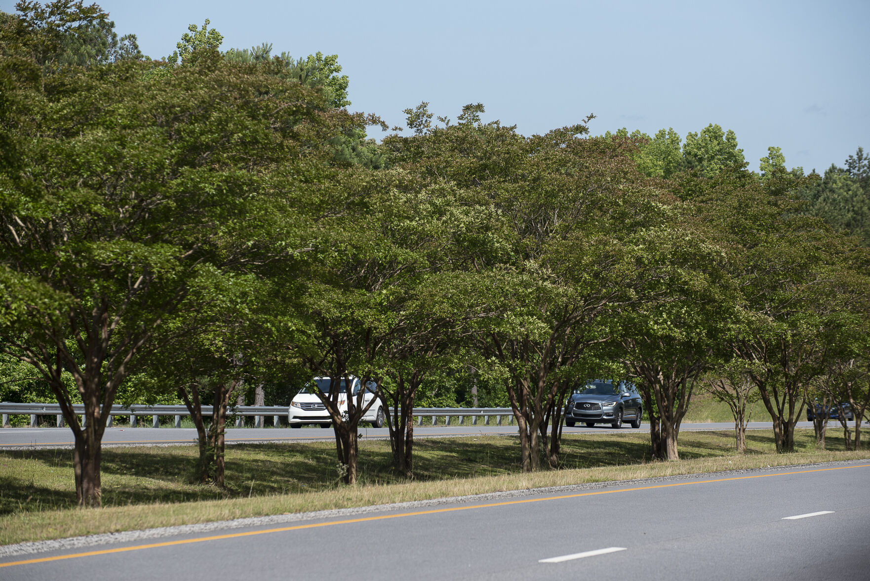20210521 Crepe Myrtle002.jpg